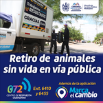 Images_198101_thumb_sin_t%c3%adtulo