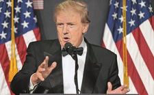 Images_199984_thumb_sin_t%c3%adtulo