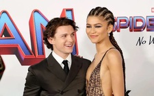 Images_200005_thumb_boda_speder