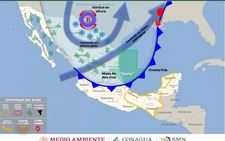 Images_200027_thumb_prott