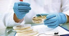 Images_202367_thumb_i3.1