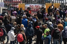 Images_202547_thumb_n1.1