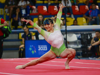 Images_206313_thumb_d1_(2)