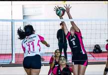 Images_208006_thumb_d2.5
