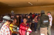 Images_209654_thumb_n1.1