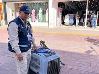 Images_221442_thumb_imagen_01