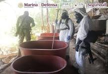 Images_221487_thumb_images_(1)