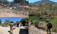 Images_221593_thumb_n4.2