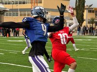 Images_221631_thumb_lu_8x8_f%c3%batbol_americano_archivo_2025