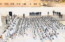 Images_221684_thumb_n3.1