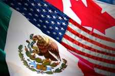 Images_221699_thumb_n1.1