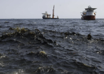 Images_221701_thumb_n4.1