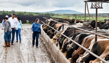 Images_221971_thumb_imagen_04