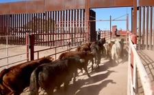 Images_221988_thumb_imagen_01