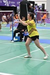 Images_222150_thumb_badminton_(3)