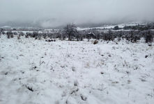 Images_26011_thumb_40