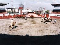 Images_2604_thumb_lienzo-charro