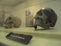 Images_29090_thumb_30