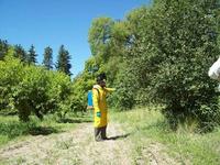 Images_3875_thumb_mosca4