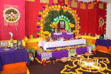 Images_46956_thumb_14