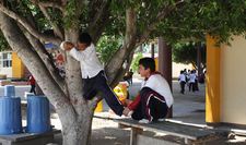 Images_74823_thumb_3