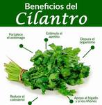 Images_91065_thumb_1